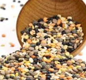 Lentils - Autumn Blend 